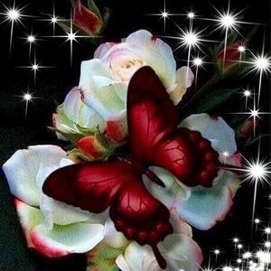 Meet your Posher, Cathy